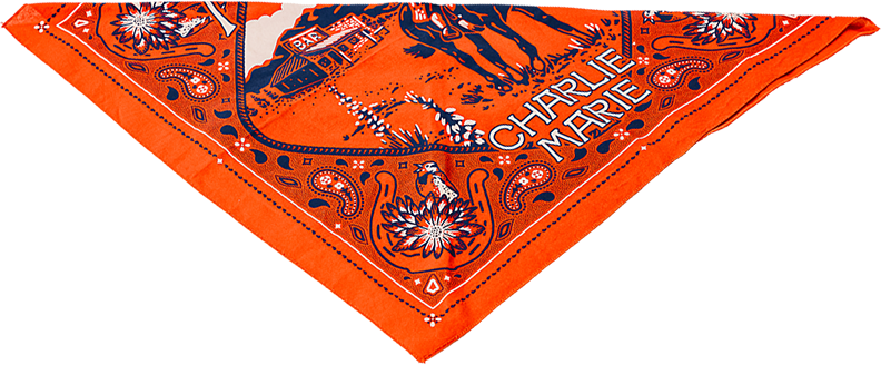 2 color screen printed bandana